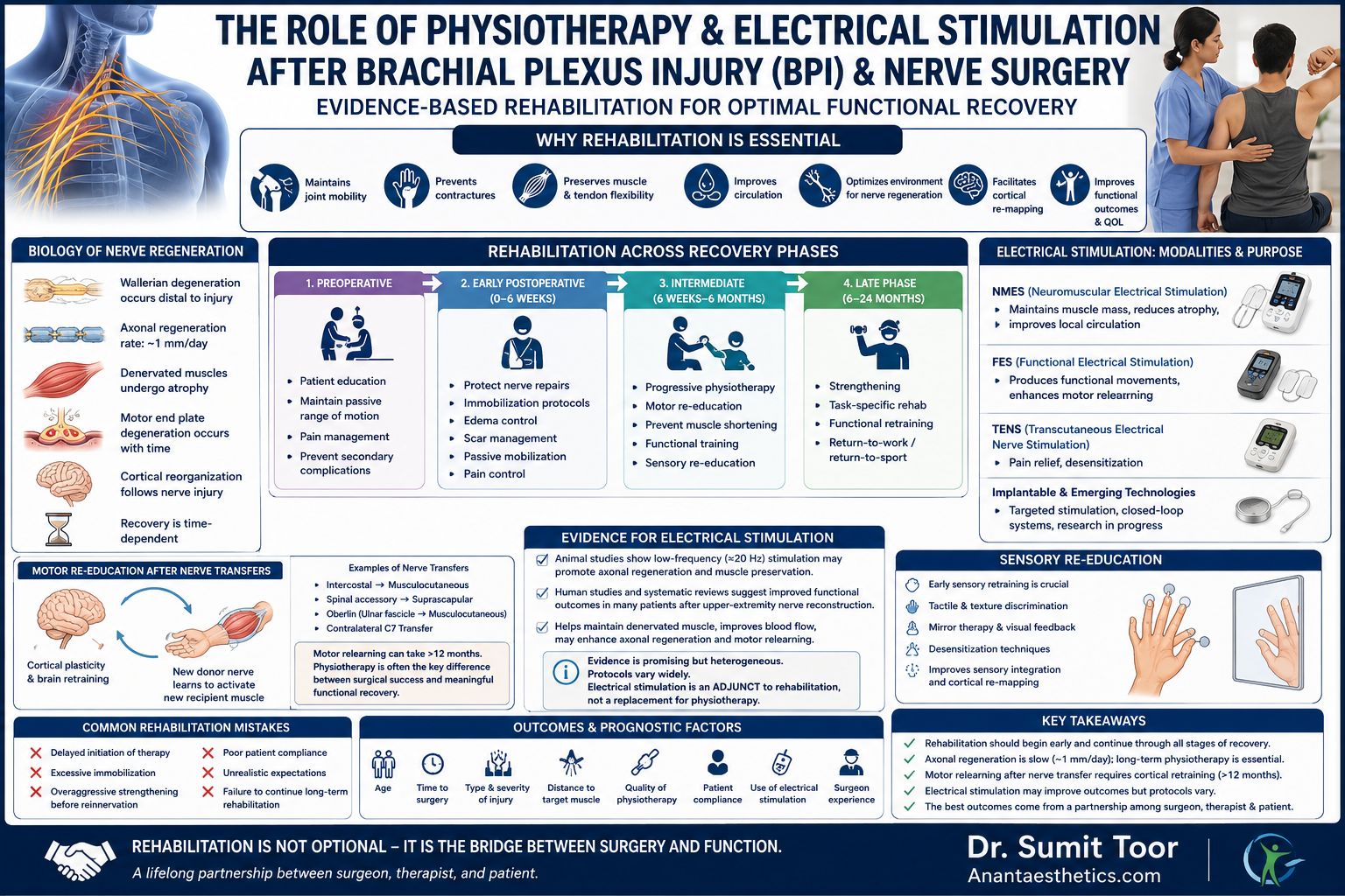 Evidence-Based Rehabilitation for Brachial Plexus Injury Recovery