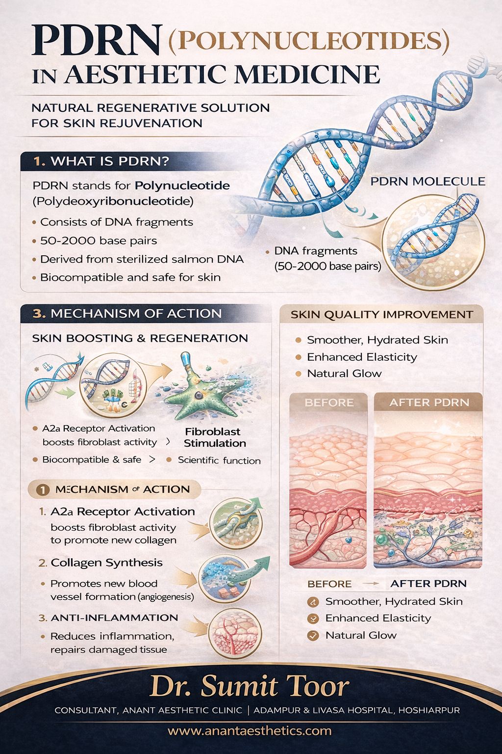 PDRN (Polynucleotides)