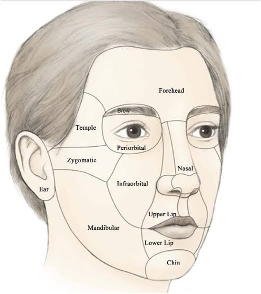 Facial Trauma Management